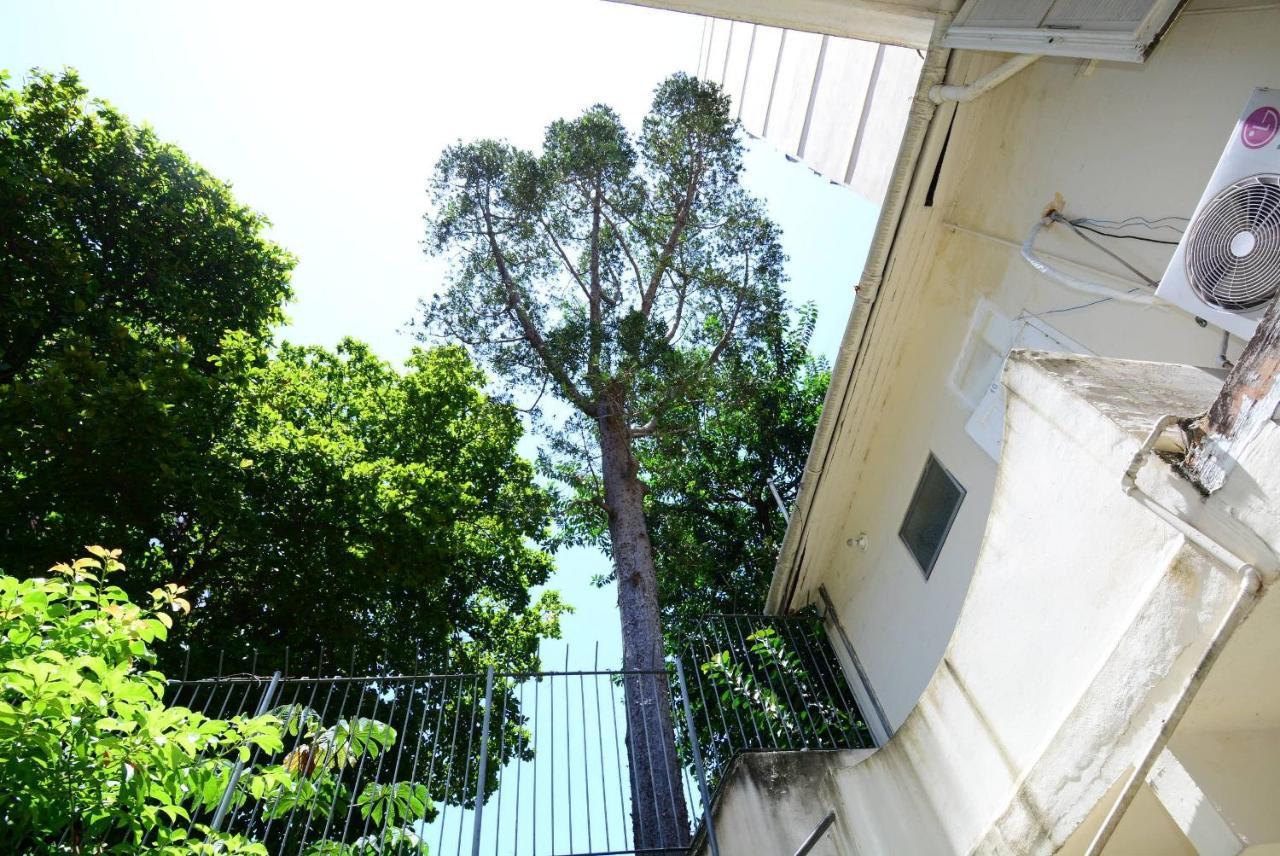 Cozy Flamengo - 3 Hospedes, Conforto E Privativo! Rio de Janeiro Eksteriør bilde